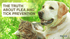 f_article.image.alt