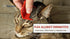 f_article.image.alt