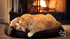 f_article.image.alt